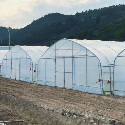 Дома полиэтилена поли тоннеля однослойные УЛЬТРАФИОЛЕТОВЫЕ защищенные пластиковые зеленые для земледелия